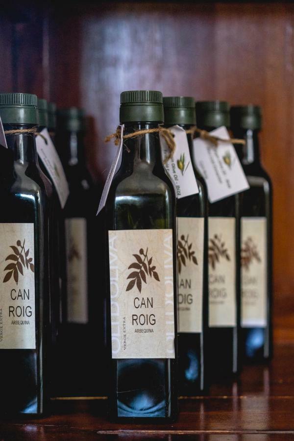 Can Roig Santa Gertrudis  Kültér fotó